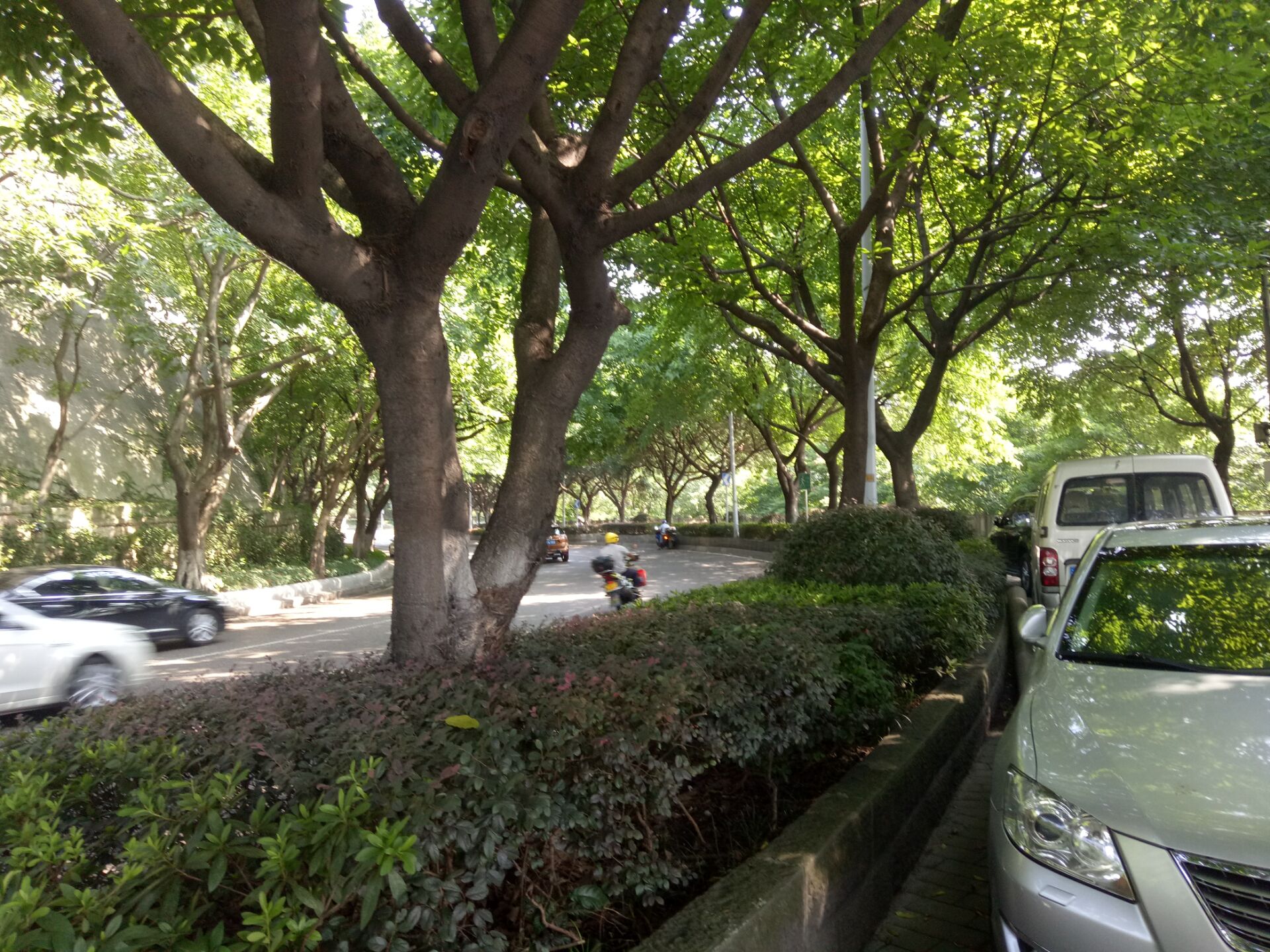 重慶市渝中區愛民老年服務中心 重慶市渝中區愛民老年服務中心