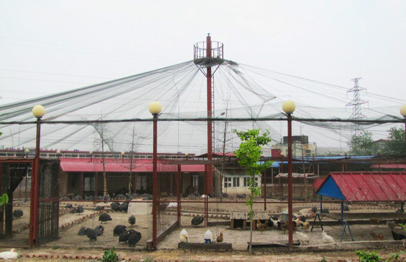 天津楊兆蘭養老院(東麗區愛心養老院) 天津楊兆蘭養老院(東麗區愛心養老院)