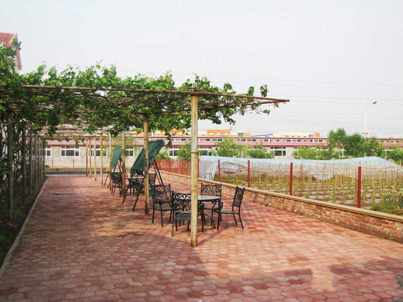 天津楊兆蘭養老院(東麗區愛心養老院) 天津楊兆蘭養老院(東麗區愛心養老院)