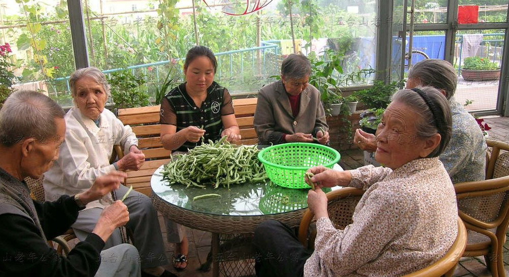 山西省忻州市五臺山老年公寓 山西省忻州市五臺山老年公寓