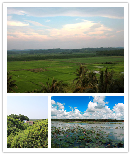 海南愛來田心生態農莊 海南愛來田心生態農莊