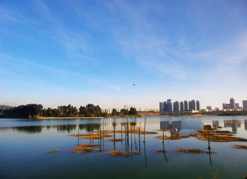 云南鑫湖養護中心 云南鑫湖養護中心