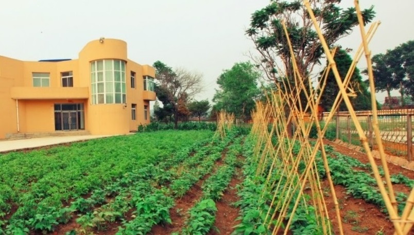 沈陽市康居敬養中心 沈陽市康居敬養中心