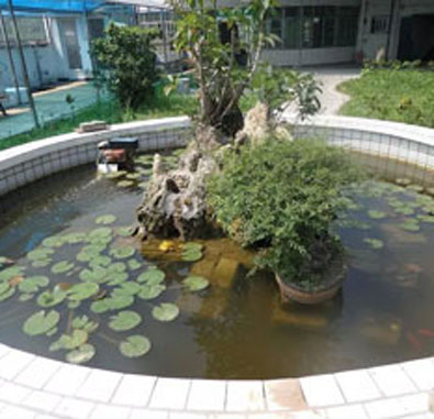 萬州區怡欣養老院 萬州區怡欣養老院