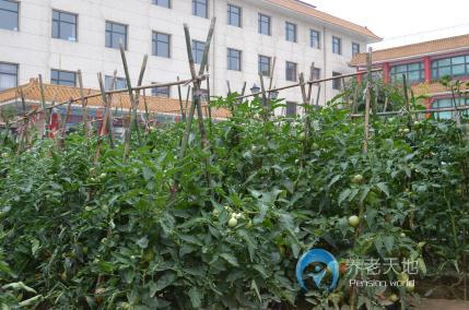 石家莊祥云生態養老公館 石家莊祥云生態養老公館