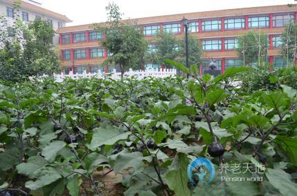 石家莊祥云生態養老公館 石家莊祥云生態養老公館