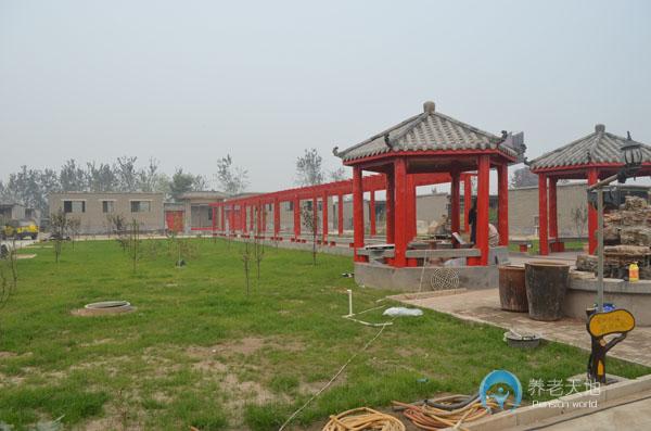 石家莊市長安區(qū)福壽居養(yǎng)老院 石家莊市長安區(qū)福壽居養(yǎng)老院