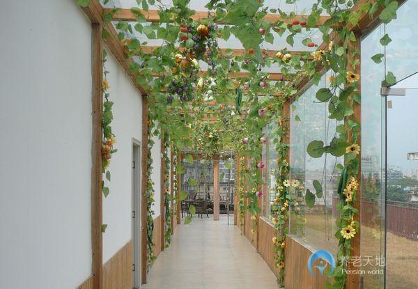 武漢市漢興陽光老年護養中心