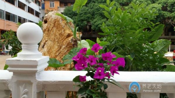 貴港市港北區西江頤養院 貴港市港北區西江頤養院