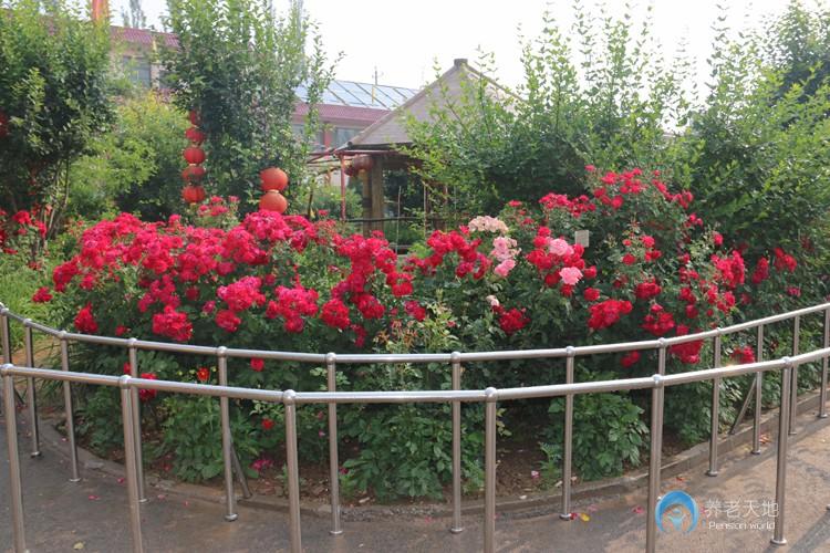 太原杏花嶺區福樂居敬老院 太原杏花嶺區福樂居敬老院