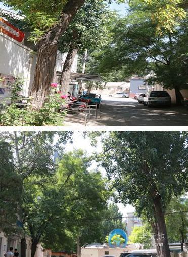 北京市朝陽區團結湖社區暮年頤樂園 北京市朝陽區團結湖社區暮年頤樂園