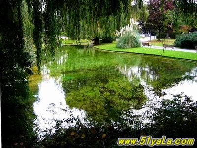 長春市寬城區頤心老年公寓