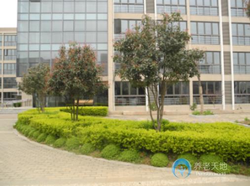 南京愛德仁谷養老院 南京愛德仁谷養老院