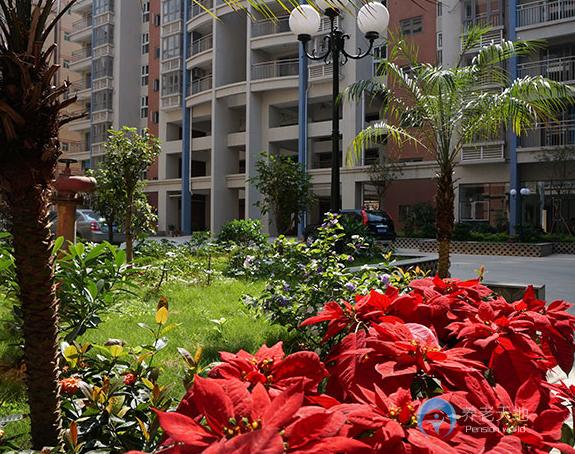 深圳南聯(lián)頤養(yǎng)中心 深圳南聯(lián)頤養(yǎng)中心