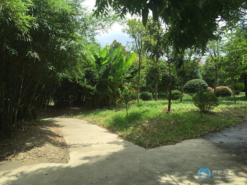 上海大眾養老院 上海大眾養老院