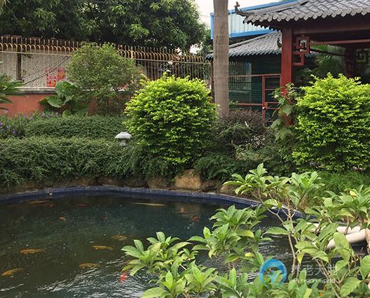 谷豐健康(花都)老年公寓 谷豐健康(花都)老年公寓