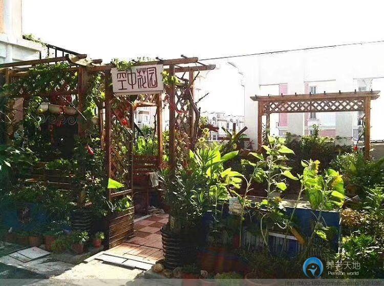 青島圣康老年護養院 青島圣康老年護養院