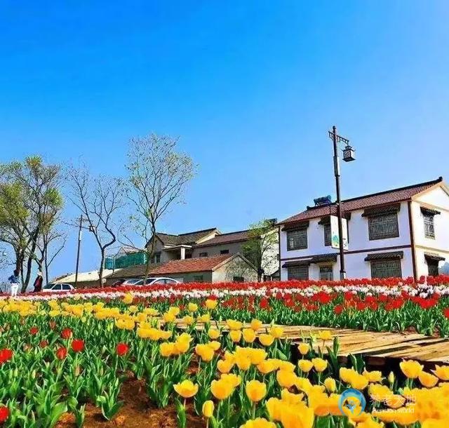 南京悅華康養谷 南京悅華康養谷