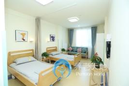 少城街道社區養老服務中心 少城街道社區養老服務中心