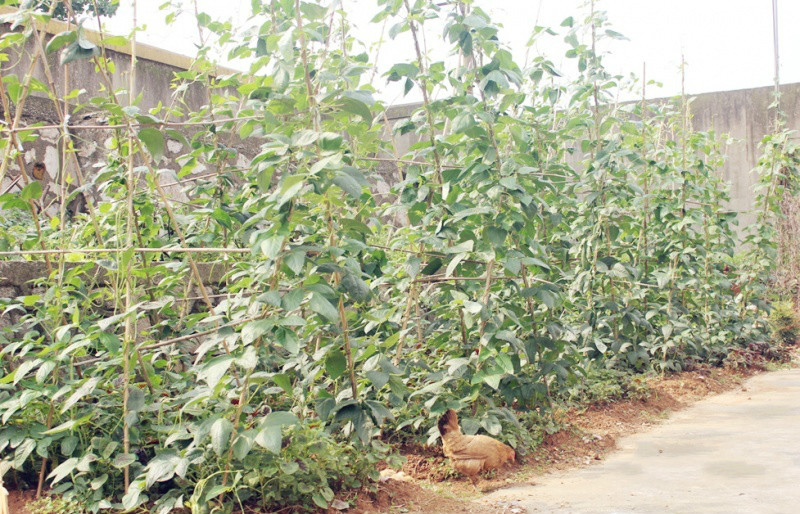 1524037815754085976.jpg 1524037815754085976.jpg