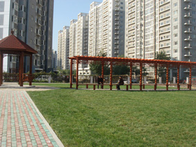 1547176772364097144.jpg 20123151381329.jpg