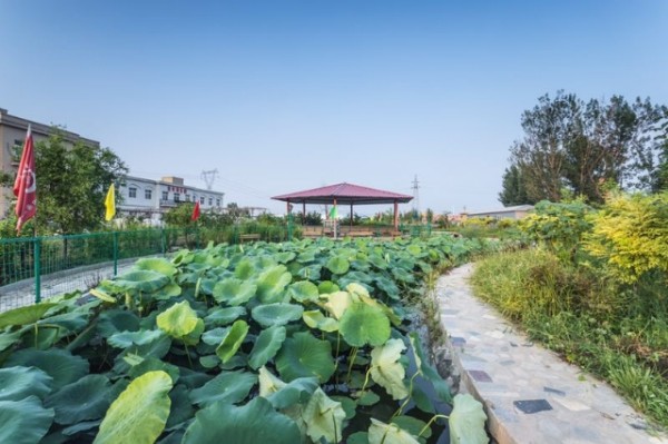 1575351949212010073.jpg 1575351949212010073.jpg