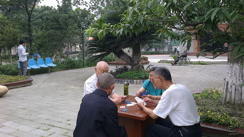 1582080341359002877.jpg 1582080341359002877.jpg