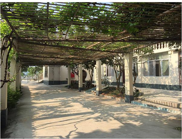 1597393344396000615.jpg 1597393344396000615.jpg