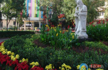 1606459364379013576.png image.png