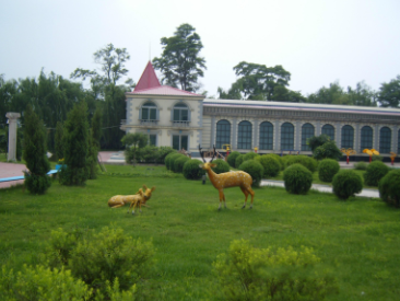 1619424763045066036.png image.png