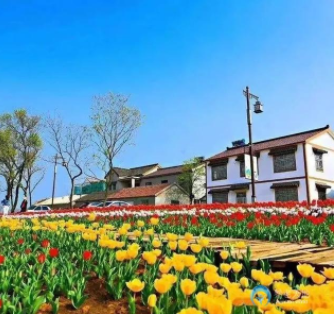 1621318359694019844.png image.png