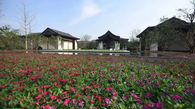 1686101483480097783.jpg 1686101483480097783.jpg