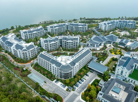 1700789265567060584.png 1.png