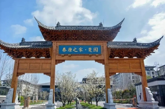 1702599309978065543.png 1.png